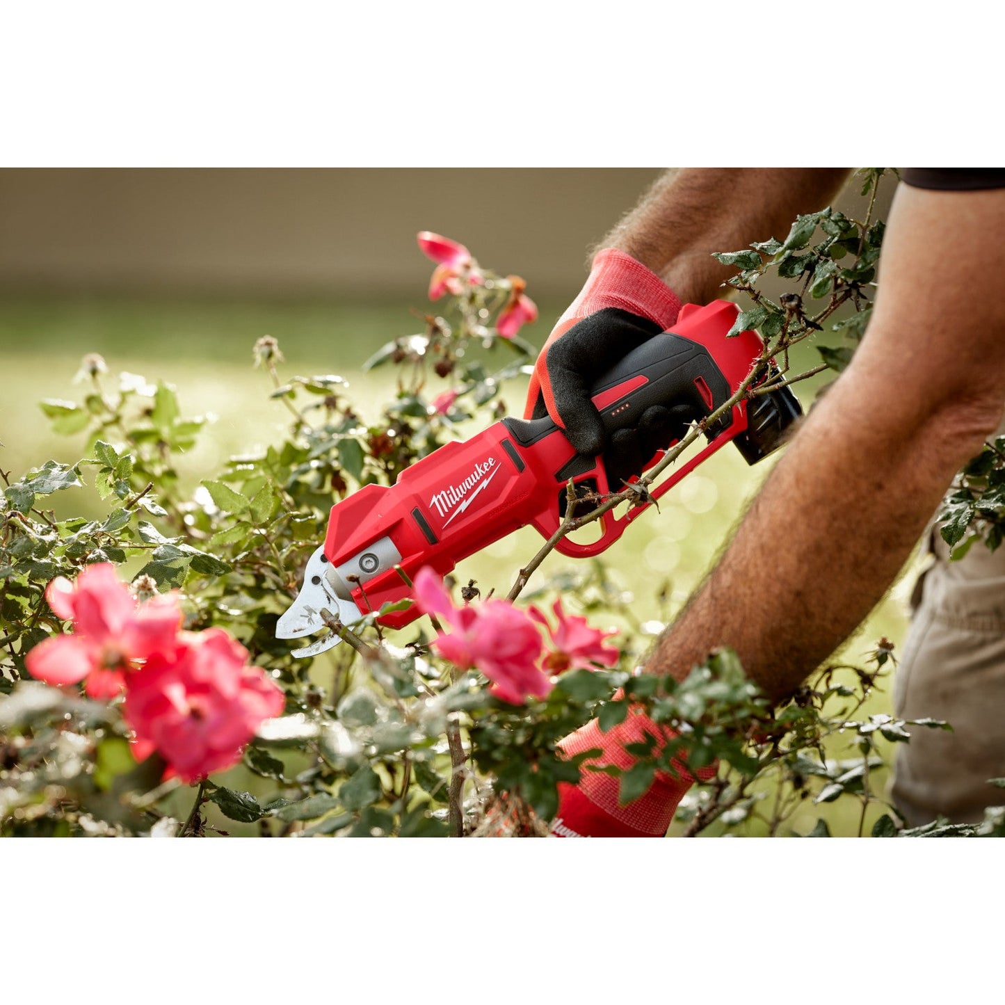 Milwaukee 2534-20 - M12™ Brushless Pruning Shears